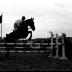 Fotoreportage ruitertreffen, Izegem, 1958