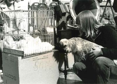 Batjes, rommelmarkt, 1975