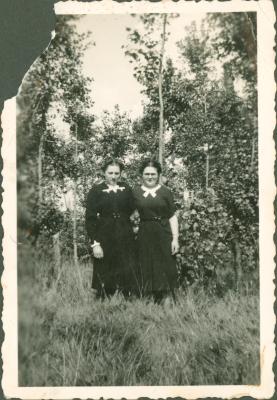 Twee zussen poseren in tuin