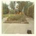 Vrouw in tuin