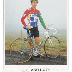 Luc Wallays, Roeselare