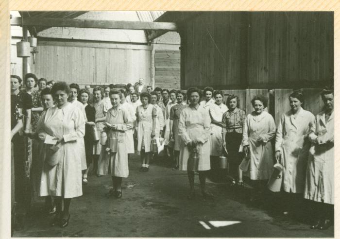 "Kriegslazarett", Izegem, 1914-1915