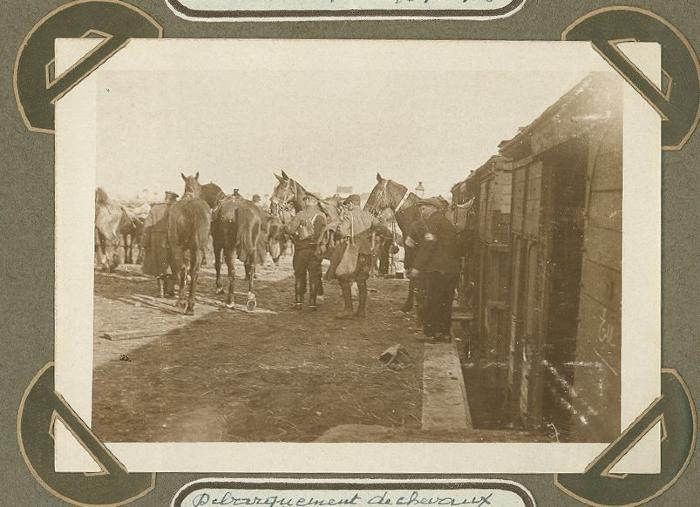 Lossen van paarden, Adinkerke 16 oktober 1915