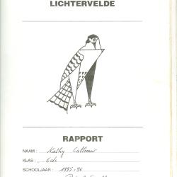 Voorbeeldrapport, Lichtervelde, 1995-1996