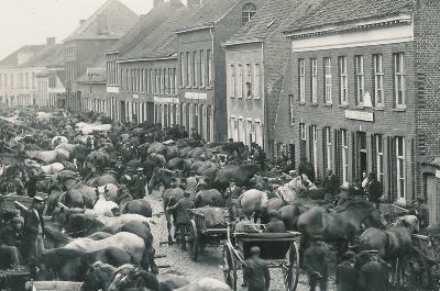 De paardenmarkt van Lichtervelde ca. 1910