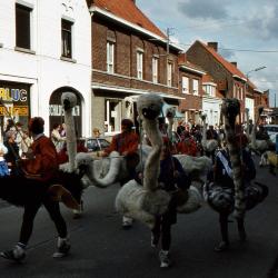 Tap en Torrestoet Dadizele: struisvogels, 15 mei 1983