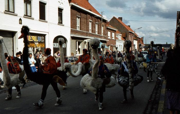 Tap en Torrestoet Dadizele: struisvogels, 15 mei 1983