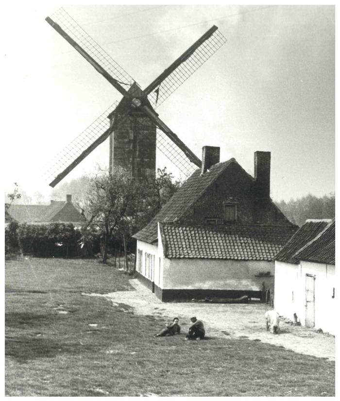 Kasteelmolen en boerderij, Ingelmunster, ca 1938
