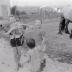 Kinderen op boerderij van M. Geldof, Staden juli 1972