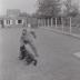 Training in hondenclub Hand in hand, Moorslede juli 1972