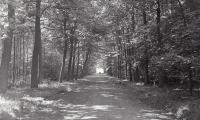 Kasteel en park Sterrebos, Rumbeke 1970