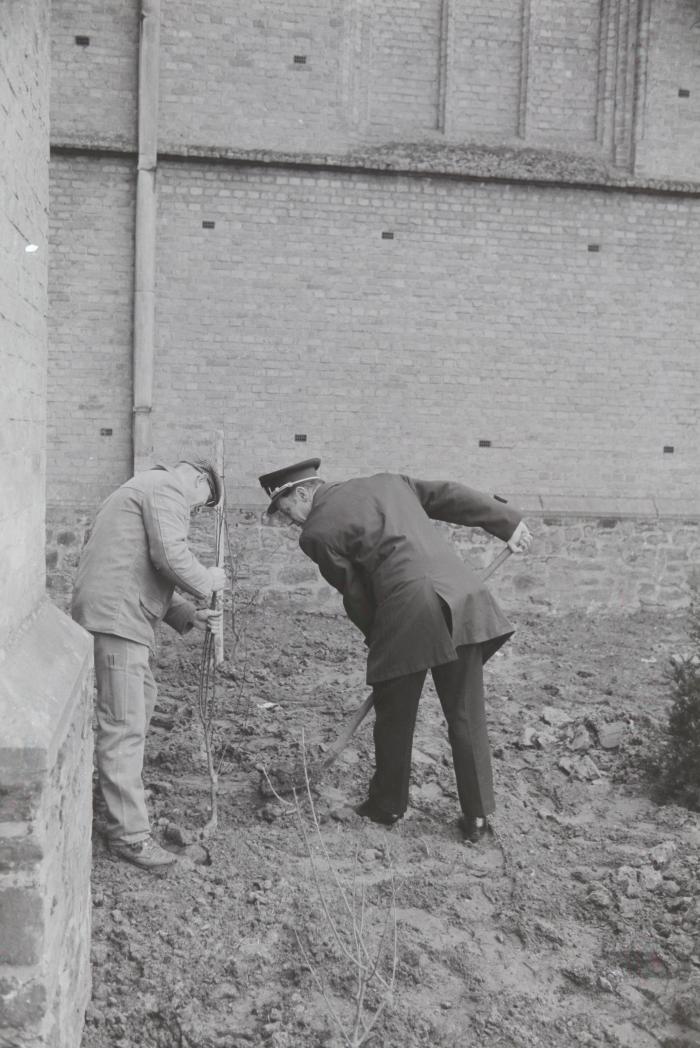 Boomplantactie op Kerkplein, Moorslede voorjaar 1971