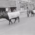 Boerenbetoging, Staden voorjaar 1971