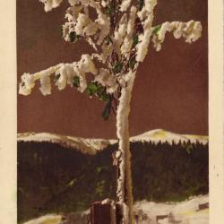Beeldzijde nieuwjaarskaart, besneeuwde boom in berglandschap