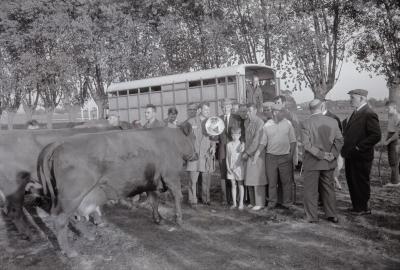 Veeprijskamp, Staden 1969