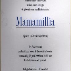 Doop van reuzin Mamallia, Roeselare, 2000