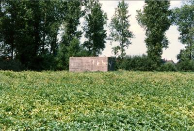 Hospitaalbunker