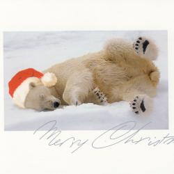 Beeldzijde kerstkaart, ijsbeer met kerstmuts