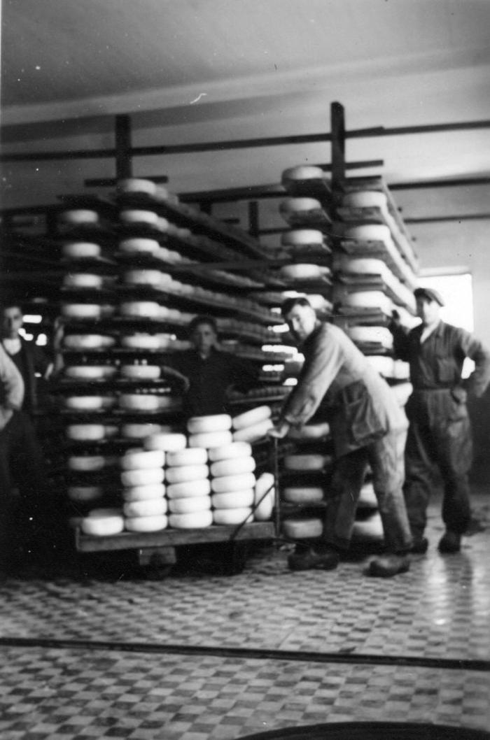 Rijpingszaal kaas, melkerij W. Hennion en N. Van Speybroeck, Moorslede, 1942