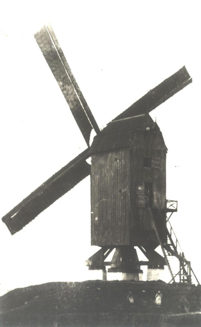 Molen, Dadizele