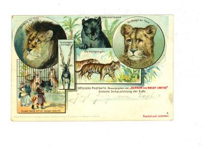 Officiële postkaart van het Barnum en Bailey circus met katachtigen en antilope