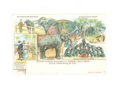 Officiële postkaart van het Barnum en Bailey circus met olifanten