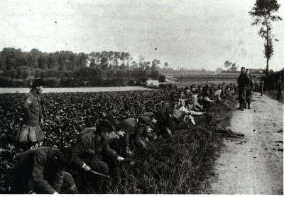 Mannen aan het werk met een houweel