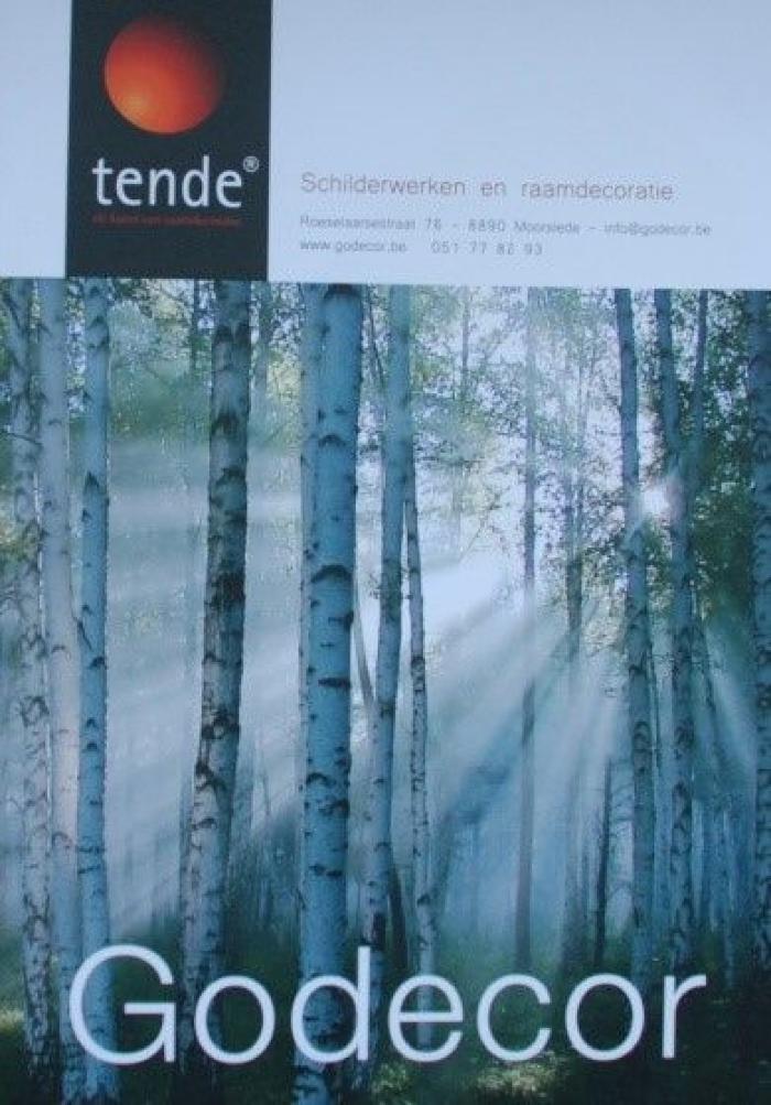 Algemene informatie, schilder- en decoratiebedrijf Godecor, Moorslede
