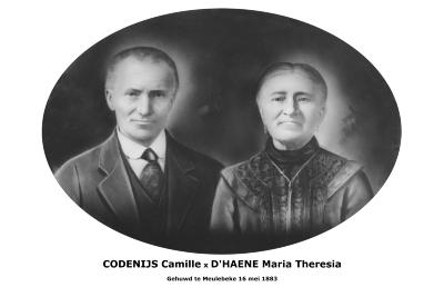Huwelijksfoto Camille Codenijs en Maria Theresia D'Haene, Meulebeke, 1883