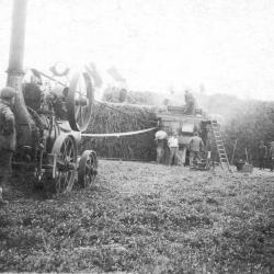 Dorsen van graan op hoeve Jonckheere, 1939