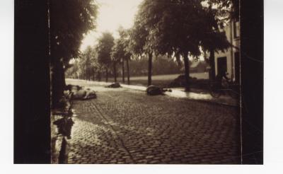 Paardenkadavers in Izegemsestraat, 1940