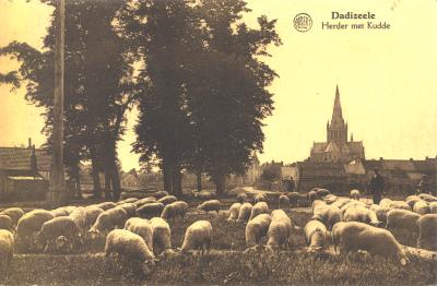 Herder met kudde schapen, Dadizele