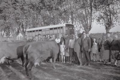 Veeprijskamp, Staden 1969