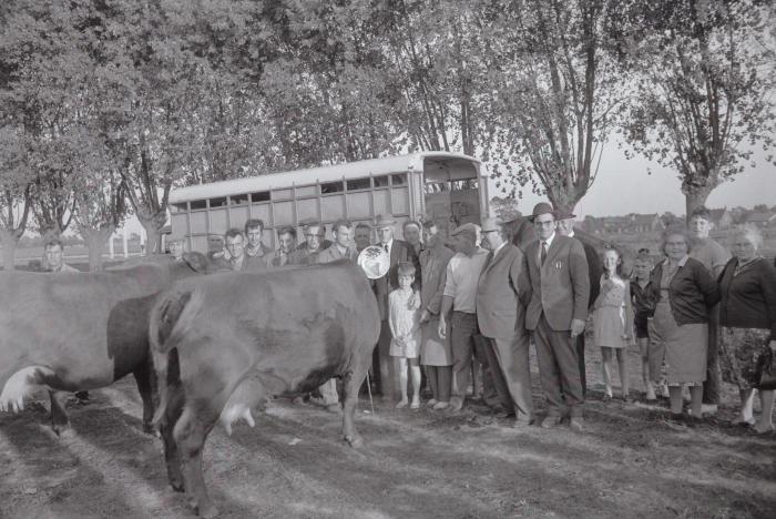 Veeprijskamp, Staden 1969