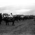 Groep paarden, Izegem 1957