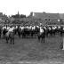 Groep paarden, Izegem 1957