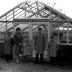 Fotoreportage serres in aanbouw Velghe, Izegem, 1959